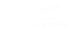 Fundacja_rozwoju_talentów_logotyp